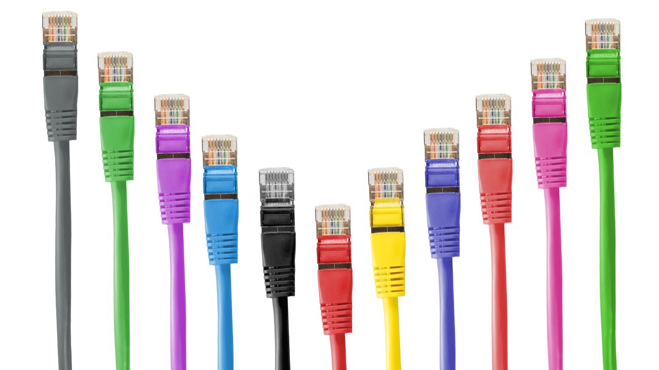 Once cables de red de distintos colores con sus conectores hacia arriba sobre un fondo blanco