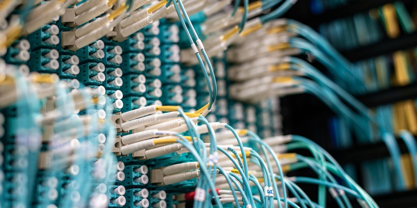 Cables de fibra óptica azules conectados a un panel de red en un centro de datos