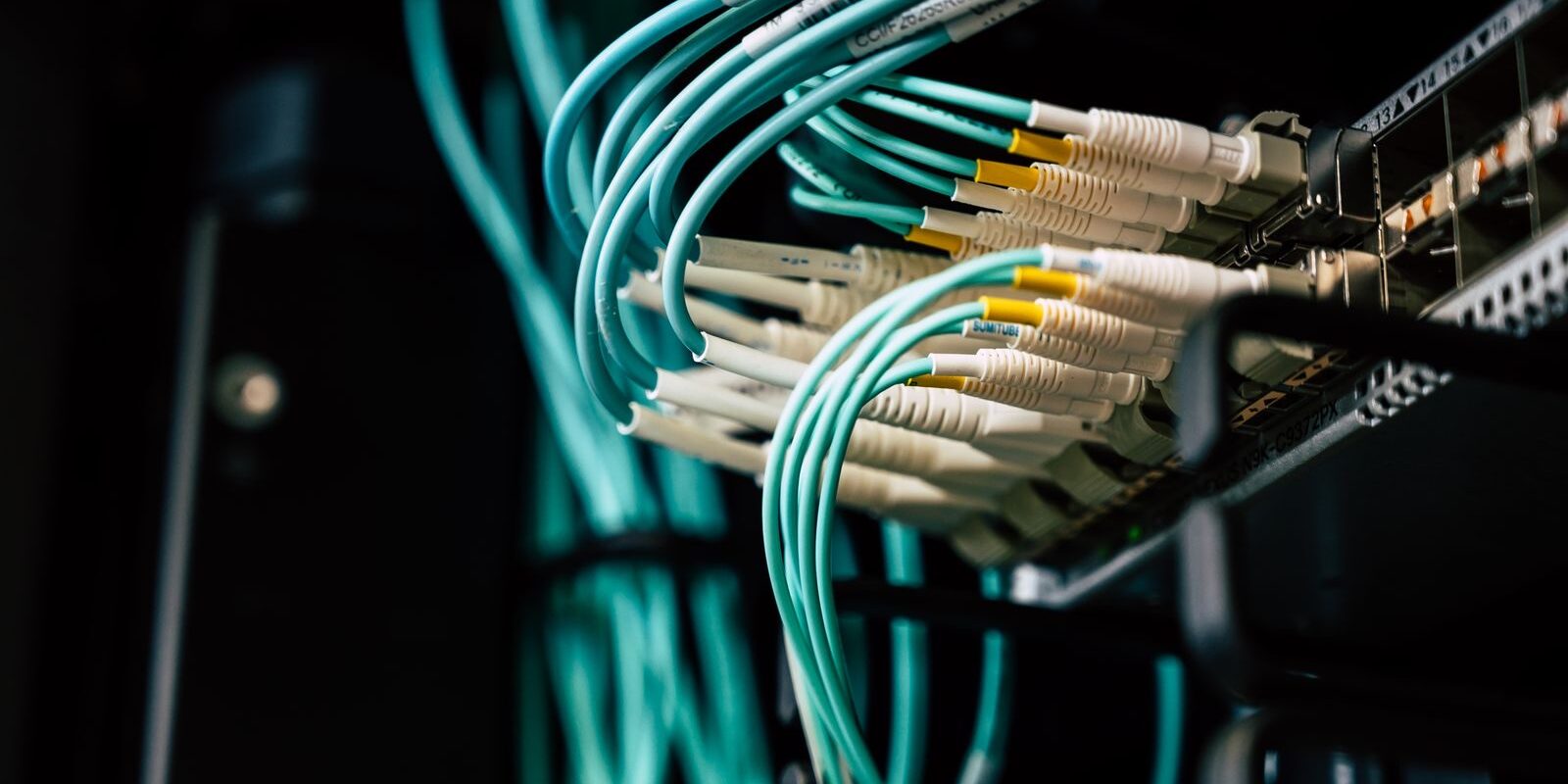 Cables de fibra óptica color turquesa conectados a un panel de servidor en un centro de datos