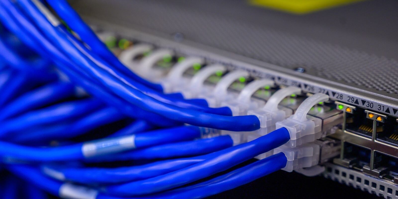 Cables de red azules conectados a un switch en un centro de datos