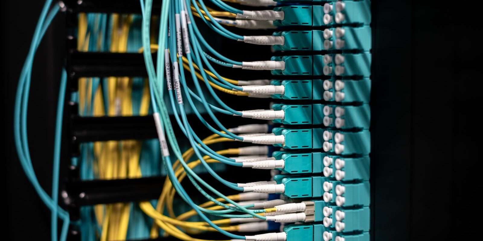 Cables de red de fibra óptica conectados a un panel en un centro de datos
